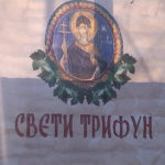 Proslava Svetog Trifuna na rajačkim pivnicama kod Negotina