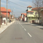Sadnja drvoreda u ulici Cara Dušana u Zaječaru