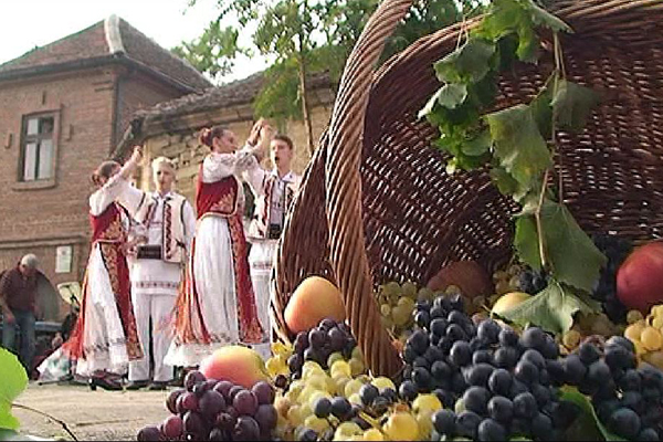 Na Rogljevačkim pivnicama kod Negotina održana je turistička i kulturno-umetnička manifestacija „Krajinska berba“