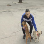 PRIMER SVOJIM VRŠNJACIMA: Srednjoškolac šeta pse da bi zaradio džeparac (VIDEO)