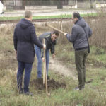 Aktivisti SNS sadili drveće u Zaječaru (VIDEO)