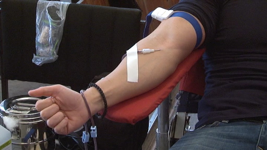 Akcija dobrovoljnog davanja krvi  u prostoriji Crvenog krsta Zaječar u Avnoju