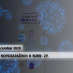 U Boru zabeleženo 29 novih slučajeva virusa