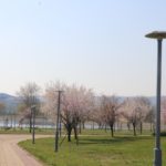 Nova rasveta u gradskom parku „Jezero“ u Kladovu