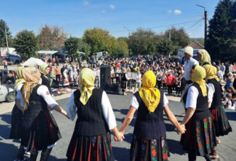 Timočko kolo u Salašu