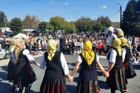 Timočko kolo u Salašu