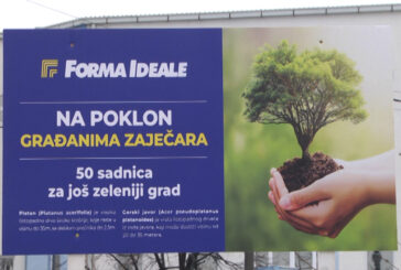 Zaječar: Forma Ideale donirala je 50 sadnica drveća park-šumi „Kraljevica“