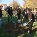 U toku je akcija pošumljavanja u park šumi „Cvećara“ u Negotinu