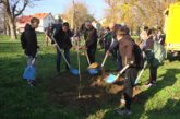 U toku je akcija pošumljavanja u park šumi 