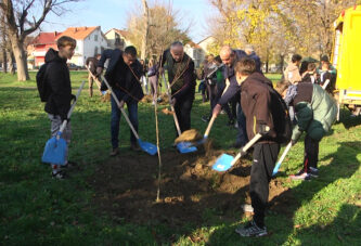 U toku je akcija pošumljavanja u park šumi 