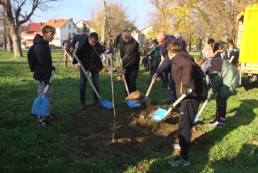 U toku je akcija pošumljavanja u park šumi 