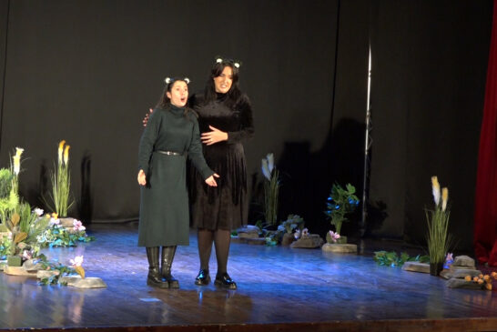 KOC- Boljevac: Opera za decu Dimitrija O. Golemovića ''Žabica lutalica''