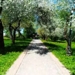 U petak 20. marta stiže proleće