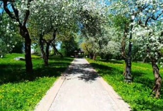 U petak 20. marta stiže proleće