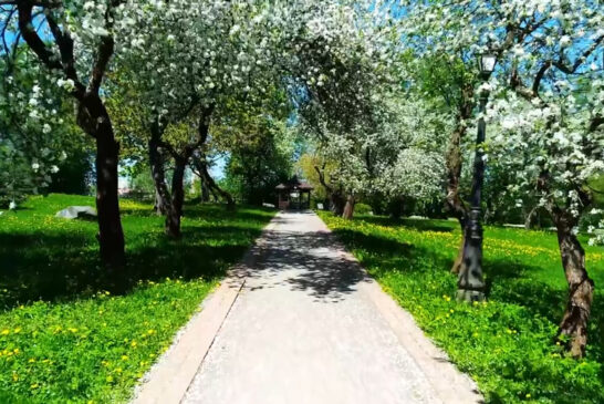 U petak 20. marta stiže proleće