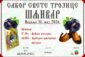 31.maja „Sabor Svete Trojice